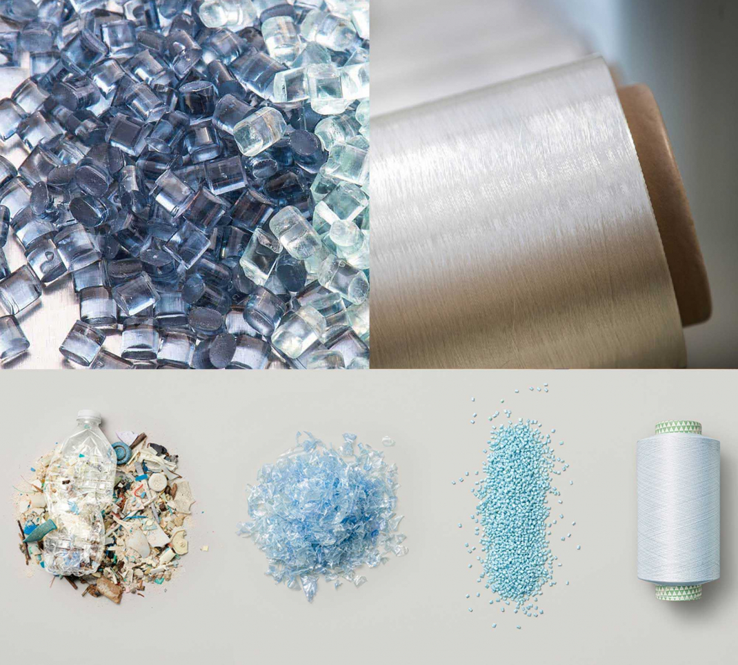 Pet rexyxled Pet rexyxled